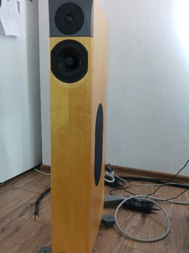 Kolumny głośnikowe Audio Physic Padua