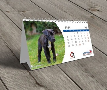 Kalendarz biurkowy 2024 psy Fundacja tyMMMczasy
