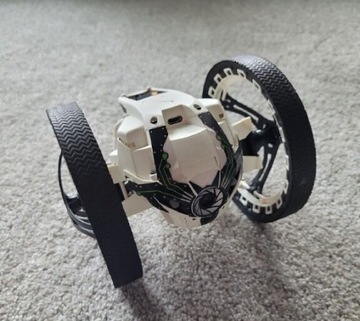 Robot parrot sumo swing mambo