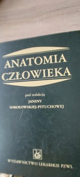 Anatomia Człowieka