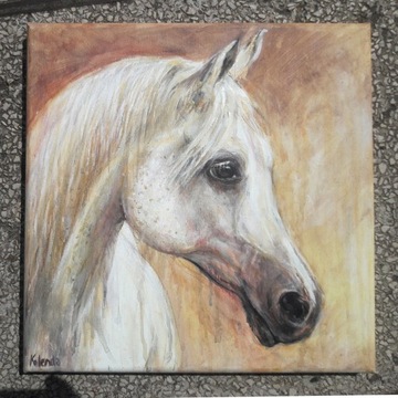 Koń arabski obraz akrylowy 30 x 30 cm