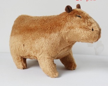  Capybara pluszak 