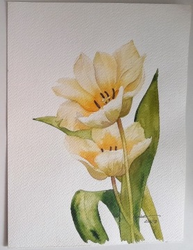 Akwarela 19x25 cm żółte tulipany