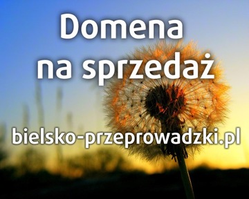domena bielsko-przeprowadzki.pl na sprzedaż