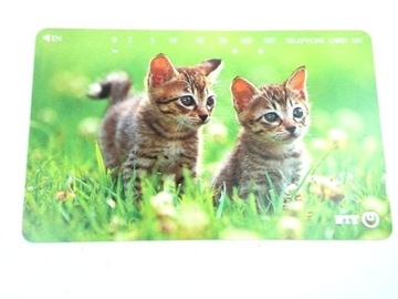 85 - Japonia zwierzęta dwa kotki