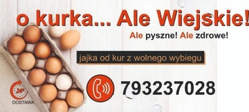 jajka od kur z wolnego wybiegu