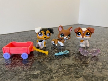 Zestaw Littlest Pet Shop i akcesoria