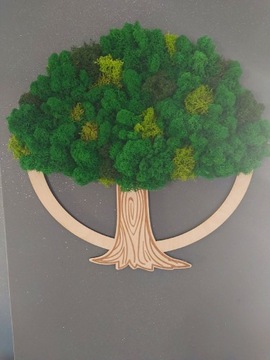 Drzewko chrobotek na obręczy obraz