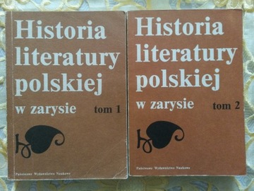 Historia literatury polskiej w zarysie tom 1 tom 2