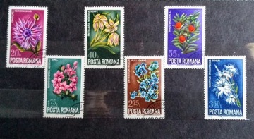 Znaczki Rumunia 1974 flora kwiaty