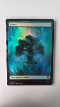 Forest (Theros Beyond Death) - FOIL