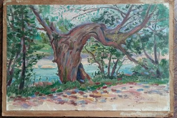 Artur Rutkowski "Stare drzewo" olej 1936!