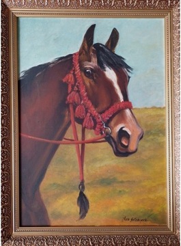 Portret konia piękny obraz olej rama drewno 60x80