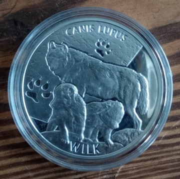 Srebrna moneta "Wilk"