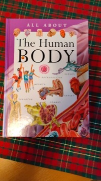 Książka "Human body" dla dzieci po angielsku