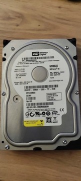 HDD WD DYSK WD800JD 80GB 3,5" Wawa