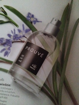 Odpowiedniki perfum Prouve