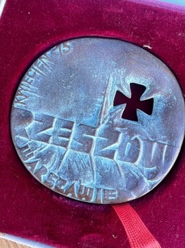 Medal rzezów Brąz 