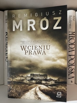 W cieniu prawa Remigiusz Mróz