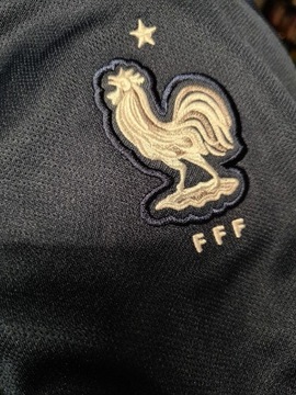 Koszulka FFF Nike