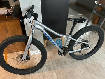 Trek Roscoe 24" Silver