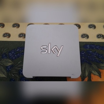 Router SKY SR101