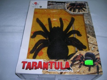 Tarantula na pilota 