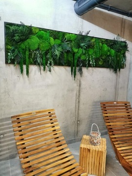 Obraz panel ściana z mchów, roślin stabilizowanych