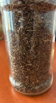 Łąka kwietna nasiona (100g)