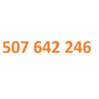 507 642 246 starter orange złoty numer #L 