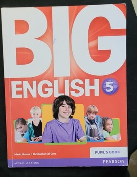 Big English 5 pupils book