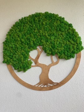 Żywy Obraz Drzewko Szczęścia 80 cm Mech Chrobotek