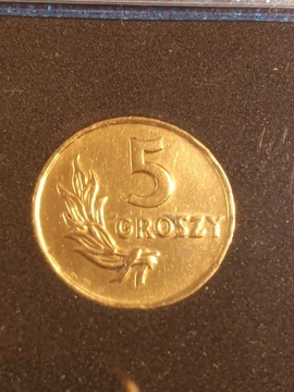 5 GROSZY 1949 r.