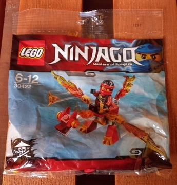 Lego Ninjago 30422 Masters Of Spinjitzu