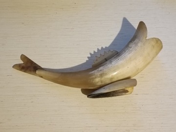 Figurka ryba z rogu dla wędkarza 