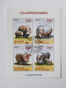 (1697) blok hipopotan
