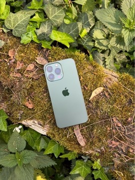 iPhone 13 Pro 256GB Alpine Green, bateria 86%