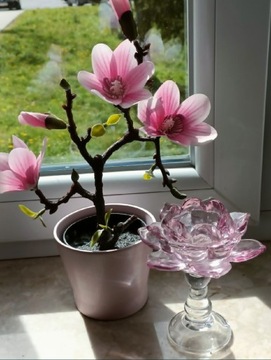 Piękny szklany świecznik w kształcie kwiatu magnolii na nóżce.