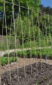 80 cm Palik tyczka podpora do roślin, pomidory, bambus, DIY patyk, znacznik