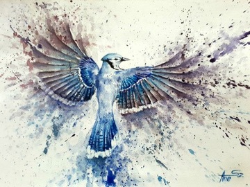 obraz ptak niebieski akwarele 30x40