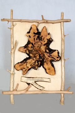 Obraz drewniany - brzozowy ser szwajcarski