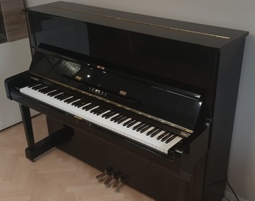 Pianino Yamaha "MPX II XG - SILENT and DISC Piano