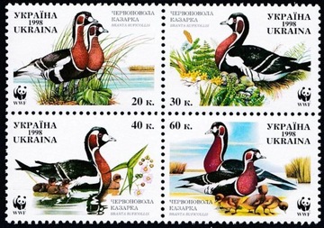 Fauna ptaki 282 -5**