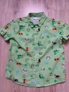 Koszula zielona krokodyle pandy 104