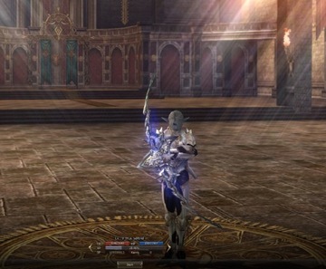 Lineage 2 L2 Reborn x10 konto 76lvl Ghost Sentinel