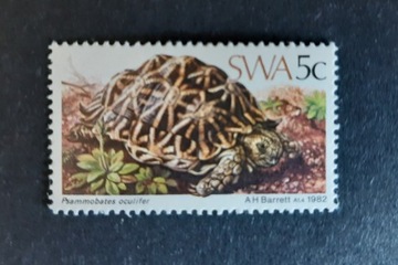 Afryka Południowo Zachodnia SWA żółw
