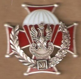 Odznaka pamiątkowa 6 Brygady.