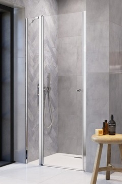 Drzwi wnękowe prysznicowe EOS II DWJ 120 cm lewe