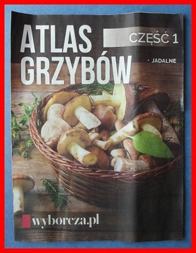 ATLAS GRZYBÓW cz. I - JADALNE - WYBORCZA