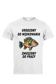 Koszulka okoń czarna lub biała XS S M L XL XXL 3XL